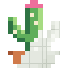 Little cactus, partly coloured