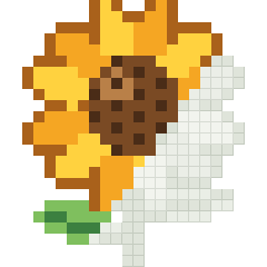 Sunflower, partly coloured